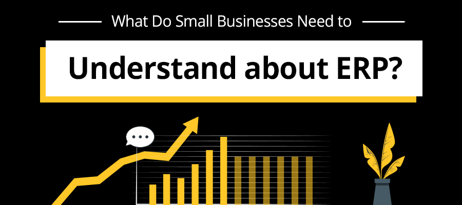 What Do Small Businesses Need to Understand about ERP?
