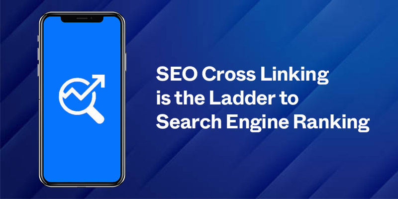 SEO Cross Linking is the Ladder to Search Engine Ranking