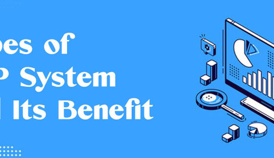 Types of ERP System and Its Benefits