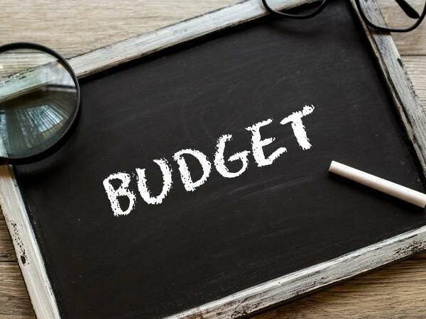 Budget for ERP Software